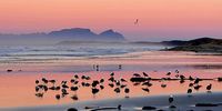 Early gathering. Strand beach. Image: Christo Steyn 