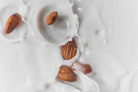 The land of milk and yummy - in defence of plant-based milk