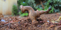The water crisis has a whistle-blower problem