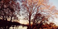 Winter Sunset. Photographer: Lindz Thee Arteest