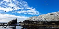 False Bay canoeing bliss. Photographer: Peter Bam</p>
<p>P4U_readersubmission_20250425