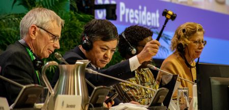 Historic moment for nature and humanity as Kunming-Montreal framework adopted at UN biodiversity conference