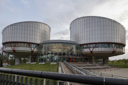 French woman who stopped having sex with husband wins ruling at European court