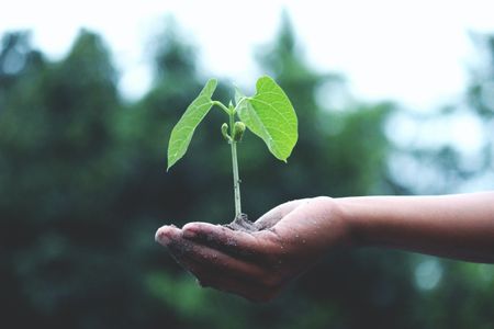 Taking stock of the Covid-19 pandemic through a sustainability lens