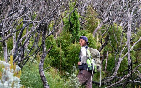 Plant ‘canaries’ offer new early-warning system for Africa’s environmental crises