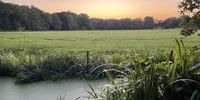 Sunset by the canal. Photographer: Louis Parkin 