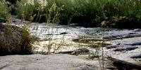 African river. Photographer: Faith Rubin