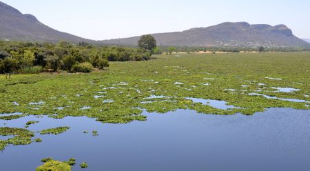 What do the Manhattan Project, your frying pan, and the Hartbeespoort Dam have in common? The answer is PFAS (Part One)