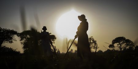 Extreme weather around the world risks boosting food bills