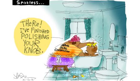 Cartoon: Seriti Commission's Operation Clean-up