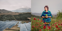 'Tropicalia'. Climate change is prompting Sicilian farmers to give up their land to host photovoltaic and agrovoltaic systems, potentially threatening food sovereignty. Elena Giorgianni, a naturopath and farmer, is resisting the trend by growing tropical fruits organically in the hills around Messina. Taking advantage of the new weather conditions and the demand for high-quality Italian tropical fruits, she is pioneering an approach that balances environmental sustainability with consumer preferences. Sicily was once Europe’s main wheat producer, but it now faces the challenges of being a climate frontier, dealing with issues such as rising temperatures, desertification, unpredictable rainfall patterns and flash floods. As a pioneer in Europe’s response to tropicalisation, Sicily serves as an example of the scenario that awaits the whole continent. This series consists of a series of human, scientific and agricultural stories that explore the emerging realities amidst ongoing climate change. It highlights the efforts of local universities to drive agricultural innovation, test weather-resistant organic crops and introduce new fertilisers tailored to desertified land. The story also follows the burgeoning weather-sensitive tropical fruit industry in Sicily, where farmers are transforming their crops into extensive mango, avocado and papaya plantations to turn the weather challenge into a new opportunity. Image: © Jean-Marc Caimi & Valentina Piccinni, Italy, Finalist, Professional competition, Environment, Sony World Photography Awards 2024