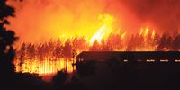 A fire rages in the Longmore Forest in Knysna on 7 June 2017. (Photo: Gallo Images / Die Burger / Werner Hills)