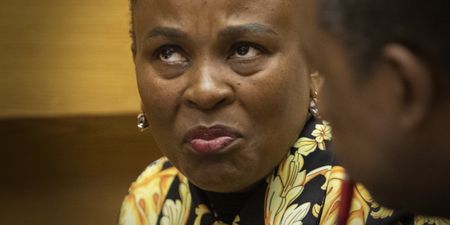 No blurred lines — EFF rejects ‘majoritarianism’ as Busisiwe Mkhwebane’s Section 194 inquiry trundles on