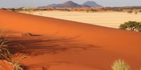 Namib Solitude. Photographer: Uwe Harms