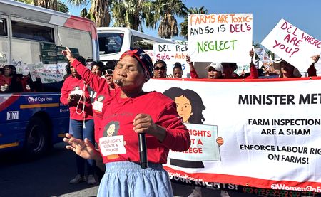 ‘You don’t see us’ — Cape farmworkers voice grievances about labour inspectors