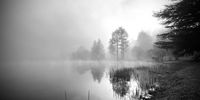 Misty morning southern Berg. Photographer: Adrian Goosen