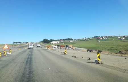 Wild Coast community battles Sanral and Gwede Mantashe