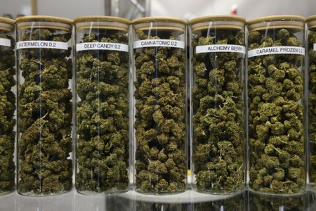 Loaded for Bear: It’s a fiscal sin that Treasury has no sin tax on cannabis products