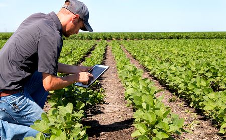 Decolonising data: ensuring AI reflects Africa's rich diversity in food systems and ethics