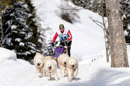 While you were sleeping: 20th February 2017