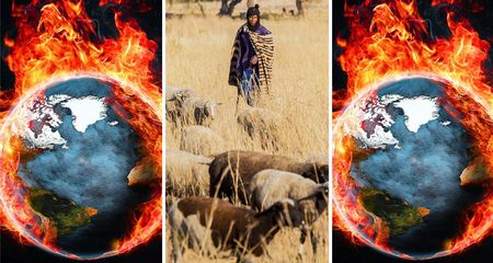 Drivers of global heating — critical food, food systems to be discussed at COP28