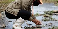 Zanele Makhaye, a geographical science graduate from the University of KwaZulu-Natal, conducts E.coli tests in the Willowfontein River. (Photo: Khaya Ngwenya)
