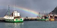 "After the storm".