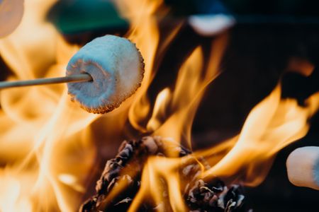 Caramel & Char: Fire burns its way back into chefs’ favour