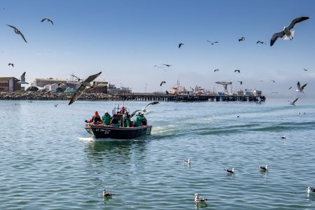 Seaspiracy and the environmental impact of fishing