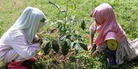 Aceh Islamic Nature School teachers and students plant trees ahead of  Earth Day in Banda Aceh, Indonesia 16 March 2023. Earth Day is celebrated annualy on 22 April, with this year's theme being 'Invest in Our Planet'.  EPA-EFE/HOTLI SIMANJUNTAK