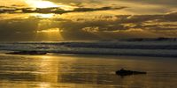 Golden Sunset – Kommetjie Beach. Photographer: Neville Lance (www.nevillelance.com)