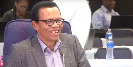 Mrwebi testifies that he was a casualty of political games within the NPA