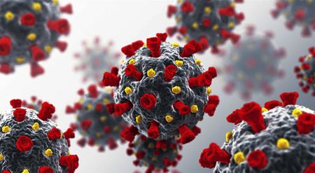 Landmark global pandemic agreement adopted by World Health Organisation members