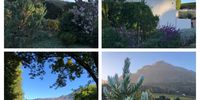 Impressions of Constantia at Easter. Image: Yvonne Weissberg