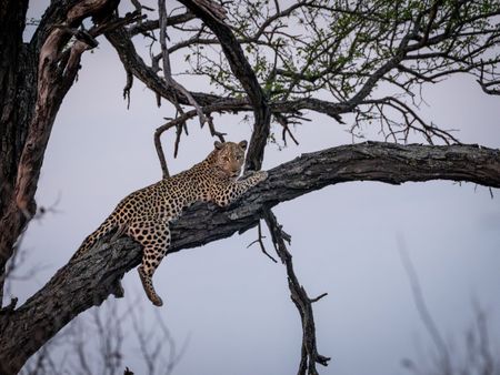 I have a picture for you! 18 October-24 October 2025