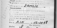 Terry Bell's visa for Kinshasa, Congo. (Image: Supplied)