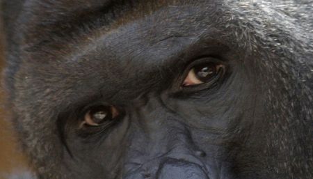 Dear humanity, time to look in the mirror