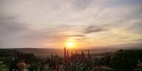 Aloe season. Robin Hill farm Salem East Cape. Image: Jack McLeod