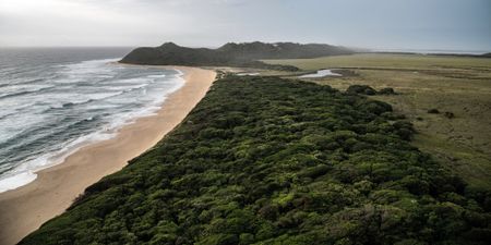 Maputo National Park — the paradise of elephants and whales