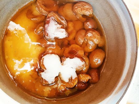 Sweet or sour, the world is your apricot