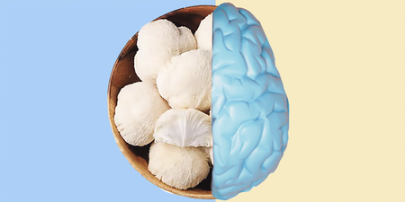 Brain boost or brand boost? The market momentum behind lion’s mane mushrooms 