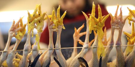 Walking the talk — SA company bags deal to export chicken feet to China