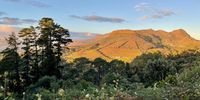 Morning light Constantia Nek hiking trail.