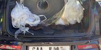 Sven ten Bokkel Huinink's tiny car groans under the weight of the roll of plastic. (Photo supplied)