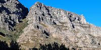Hotter, drier, wilder: How Table Mountain National Park is reinventing conservation for a changing climate