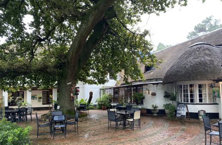 New Year reveries in the land of pickled pigs and nervous kids