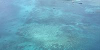 A birds eye view of green island, The Great Barrier Reef. Image: Shalendra Misser