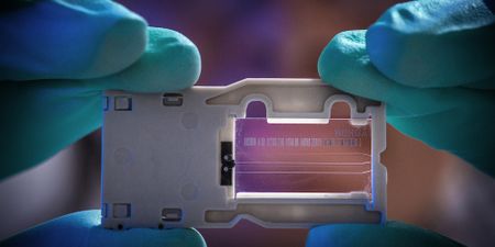 SA needs a surveillance programme as Covid-19 RNA signals show up in wastewater samples