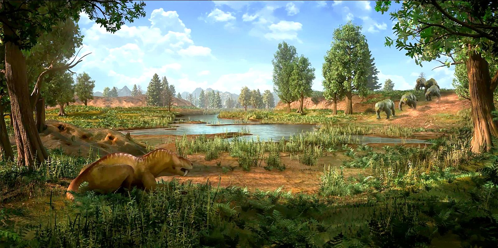 SA studio wins top animation prize