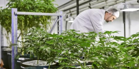 Labat shares tank 70% over 2022, but management confident this will turn around